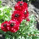  ,  -  26  2014     .