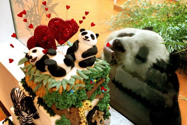 Yura - 25  2014  16:05