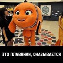 ���� ������, ������, 38 ��� - ��������� 23 ���� 2014 � ������ ������ ��������