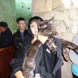 �������, �����������-��-�����, 56 ���