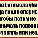 ���� Olga, ������� - ��������� 20 ���� 2014 � ������ ������ ��������