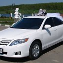 ���� ������, ������������, 36 ��� - ��������� 29 ��� 2014 � ������ ������ �������� ���λ