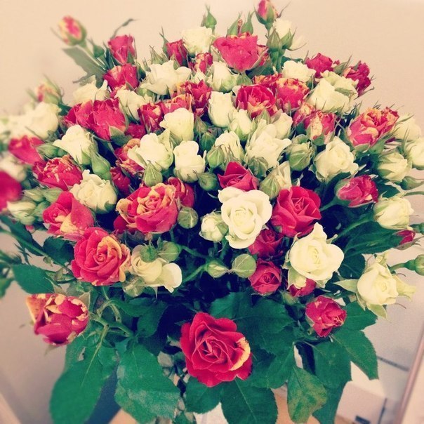    - 13  2014  23:45 - 4