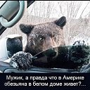 ���� �������, ������ �������, 49 ��� - ��������� 22 ������ 2014 � ������ ������ ��������