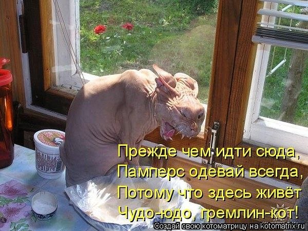    - 22  2014  12:10