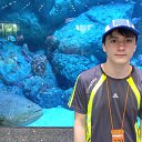  , , 44  -  11  2014    2014