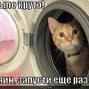 ���� ���������, ������������, 53 ���� - ��������� 1 ������ 2014 � ������ ���� ������������ ��������