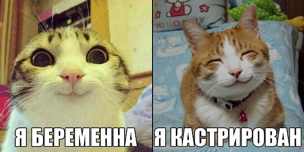    :D - 23  2014  15:44