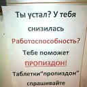 ���� ������, �����-���������, 33 ���� - ��������� 30 ��� 2014 � ������ ������ ��������
