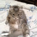  , , 42  -  2  2014   Foto