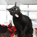 ���� �����, ������, 35 ��� - ��������� 12 ������ 2014 � ������ ������ ��������