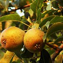 ���� 2014 �� ������� �� ��� - ��������!!!)))�