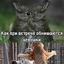 ���� �����, ������, 40 ��� - ��������� 10 ���� 2014 � ������ ������ ��������