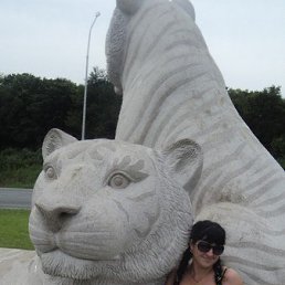 ���� �����, ��������� - ��������� 22 ������ 2014