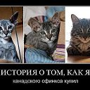���� ������, �������� - ��������� 8 ��� 2014 � ������ ������ ��������