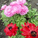  ,  -  26  2014     .