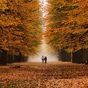 ���� Tatiana, ����������� - ��������� 24 ���� 2014 � ������ ������ ��������