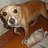  Sasha, , 36  -  17  2014