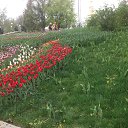 ���� ���������, ����, 53 ���� - ��������� 20 ������ 2014 � ������ ��������� ��������� ����-2014�