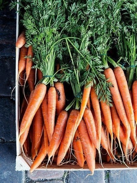 Морковный разгрузочный день. Морковь – полезный низкокалорийный продукт (около 32 ккал на 100 г), а ...