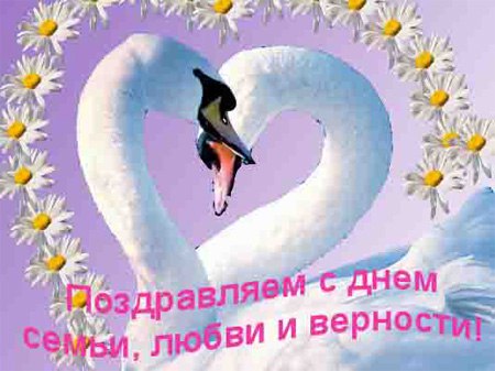  - 8  2014  05:44