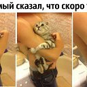 ���� ����, ����������, 41 ��� - ��������� 21 ����� 2014 � ������ ������ ��������