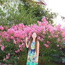 ���� �������, ������, 33 ���� - ��������� 12 ������� 2014 � ������ ���� ����������