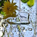 ���� �������, ��������, 55 ��� - ��������� 4 ��� 2014 � ������ ������ ��������