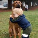  , , 71  -  20  2014     ... .