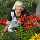 ���� �������, �����������, 52 ���� - ��������� 22 ������� 2014 � ������ ���� ����������