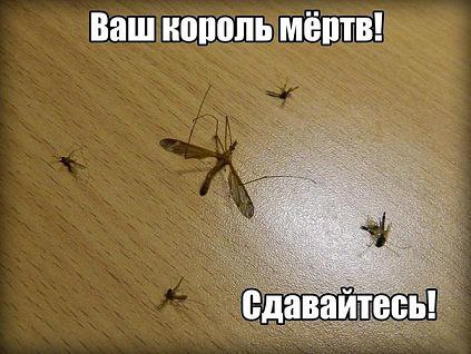 Подписывайтесь на нашу страницу fotostrana.ru/public/232473 Только позитив )