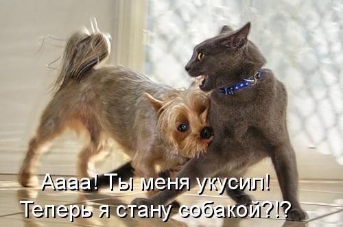 ���� ������� :3 - 1 ������� 2014 � 13:10
