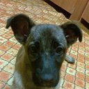 ���� �����, �����-�������� - ��������� 9 ������� 2014 � ������ �����