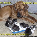  Marina,  -  16  2014    