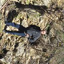 ���� ��������, ������, 59 ��� - ��������� 28 ��� 2014 � ������ ����������