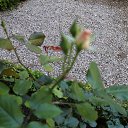 ���� �����, ������ �������� - ��������� 29 ���� 2014 � ������ �2014 ��