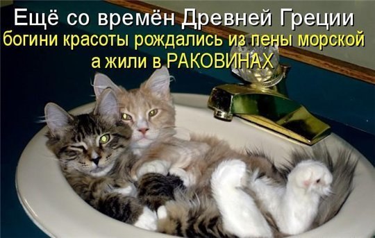     <a href=