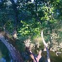 ���� �������, ������, 62 ���� - ��������� 21 ���� 2014 � ������ ���� ����� , ������� ������.�