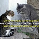 ���� �����, �����, 69 ��� - ��������� 3 ������ 2014 � ������ ������ ��������
