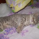 ���� Gikaew, �����, 53 ���� - ��������� 10 ���� 2014 � ������ ������ ��������