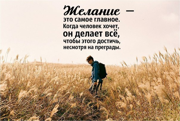  | ,  - 11  2014  09:05