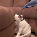 ������) �� ������� ������ ��������.�
