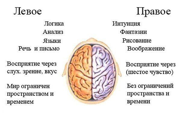 Тренировать нужно не только тело. Упражнение ума для развития мозга. Когда мы молоды, мир кажется ...