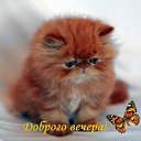 ���� �������-, ������ ��� - ��������� 25 ���� 2014 � ������ ������ ��������