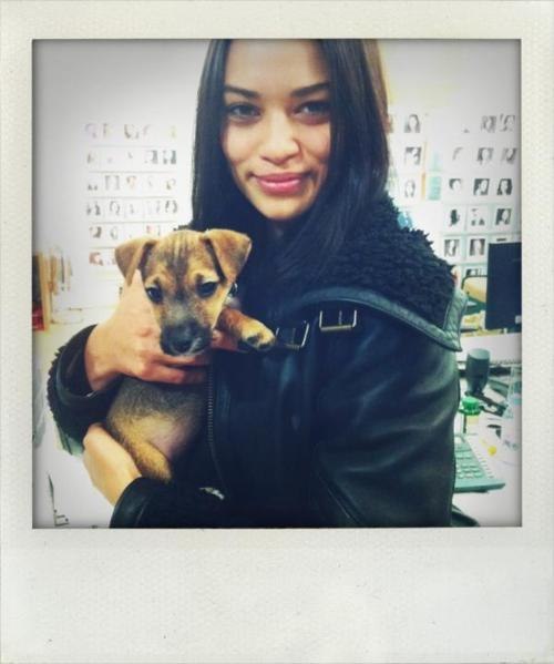   - 17  2014  01:19 - 5