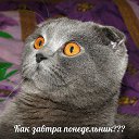 ���� �������, ������ - ��������� 16 ����� 2014 � ������ ������ ��������