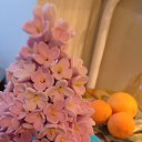 ���� ��������, ������-��-����, 49 ��� - ��������� 20 ���� 2014 � ������ ���� ����������