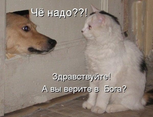  - 22  2014  13:14