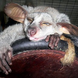 ���� �������, ������ - ��������� 14 ������� 2014