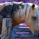  , -, 75  -  28  2014    